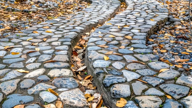 Low-angle view of winding cobblestone pathways surrounded by fallen autumn leaves