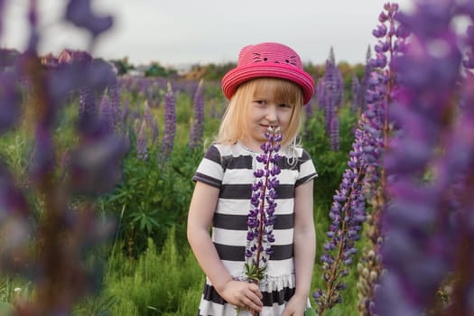 A blonde girl in a field with purple flowers. A little girl in a pink hat is picking flowers in a field. A field with lupines.
