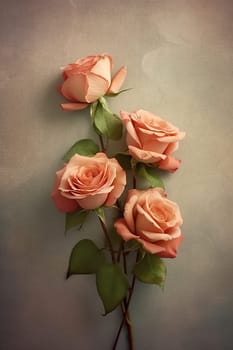 four delicate peach roses on neutral background