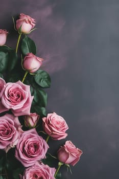 delicate pink roses on grey neutral background