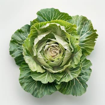 A closeup photo of a cabbage, a leaf vegetable, with green leaves against a white background. This ingredient is used in food production and is part of the flowering plant family