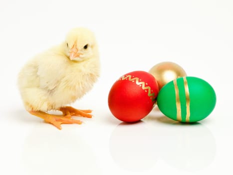 Chick, easter and chocolate eggs or sweets dessert on holiday for festive celebration, shell or traditional. Animal, young and unhealthy snack in studio white background for vacation, season or candy.