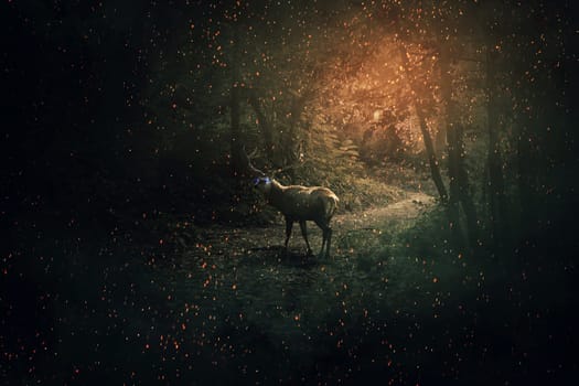 Majestic deer with blue glowing eyes and long horns guard the dark forest with a lot of fireflies and sparkles. Mystic wild scene screen saver.