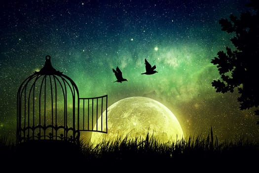 Birds couple escaping from the cage. Freedom concept. Released to nature. Beautifu and positivel screen saver with a starry sky and a full moon