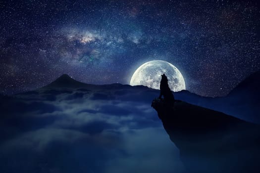 Silhouette of a lonely wolf  standing on a cliff  howling to the full moon. Starry sky over the clouds in the mountains. Wild life landscape scene screen saver.