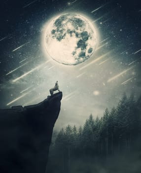 Howling wolf on the top of a cliff over night sky background with shining full moon. Wildlife scene with falling stars over the coniferous forest.