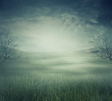 Mystycal landscape with a misty field and bare trees. Scary halloween background with copy space