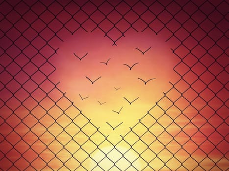 Magical escape with metallic wire mesh breaks up into a heart shape and transforms into flying birds above the sunset sky. Overcome obstacles together, love and togetherness concept. Freedom symbol