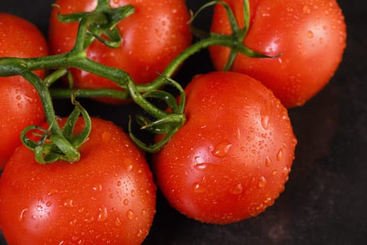 Fresh ripe red tomato branch with water drops on a dark background . Close-up. Horizontal photo. Poster for vegetable market or shop.