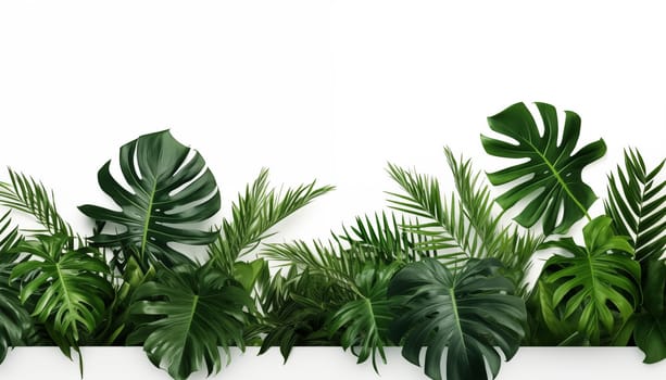 Jungle green leaves, white background, isolated. High quality photo