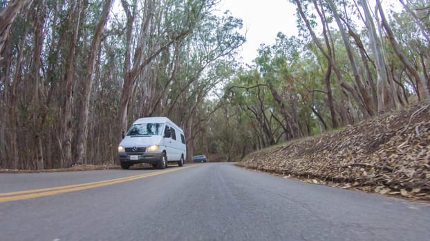 Santa Maria, California, USA-December 6, 2022-In this serene winter scene, a vehicle carefully makes its way along Los Osos Valley Road and Pecho Valley Road within Montana de Oro State Park.