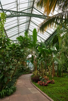 Amazonian Ecosystem Enchantment: Nature's Wonders in the Botanical Greenhouse. Botanic Rainforest Marvel: Exploring the Amazonian Flora in the Conservatory. Amazonian Ecosystem Enchantment Unveiled: Nature's Wonders in the Eco-friendly Botanical Greenhouse. Journey into Botanic Rainforest Marvel: Exploring the Amazonian Flora in the Greenhouse Haven. Rainforest Oasis Defined: A Lush Tapestry of Amazonian Plants in the Ecological Sanctuary. Sustainable Amazon Captured: Thriving Rainforest Diversity in the Eco-friendly Conservatory Wonderland. Nature's Embrace Revealed: Amazonian Beauty Flourishing Amidst the Lush Greenery.