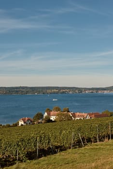 Bodensee Panorama: Alps on the Horizon, Vineyards, and Pastoral Beauty. Alpine Horizon: Bodensee, Vineyards, and Quaint Villages in the German Countryside. Vineyard Vistas: Bodensee, Alpine Peaks, and the Rural Charm of German Agriculture. Rural Tranquility: Bodensee Overlooking Pastures, Vineyards, and Traditional Villages,