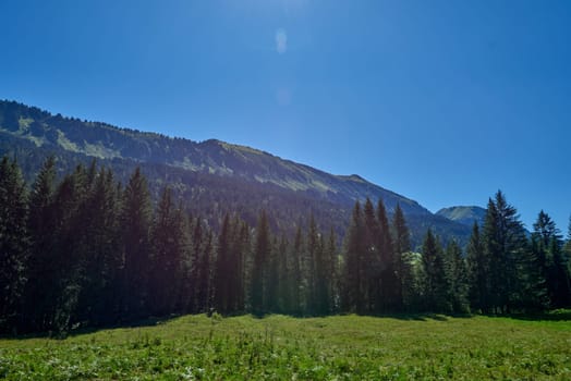 Alpine Bliss Unveiled: Meadows and Evergreen Forests Under Summer Skies. Mountain Majesty Captured: Grazing Pastures and Pine-Laden Slopes in Summer. Nature's Palette Defined: Alpine Ecosystem Harmony Under Blue Canopy. Sustainable Alpine Haven Revealed: Eco-Friendly Meadows and Fir-Adorned Slopes. Elevated Serenity Explored: Alpine Meadows, Pine Forests, and Azure Skies