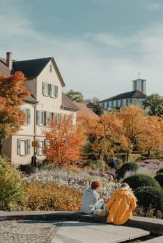 House with nice garden in fall. Flowers in the Park. Bietigheim-Bissingen. Germany, Europe. Autumn Park and house, nobody, bush and grenery