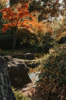 Beautiful calm scene in spring Japanese garden. Japan autumn image. Beautiful Japanese garden with a pond and red leaves. Pond in a Japanese garden.