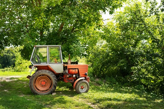 A vintage red tractor parked under a lush green tree on a sunny day, showcasing rural and agricultural scenery