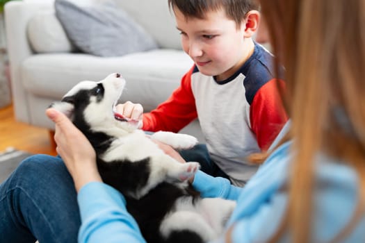 Young boy enjoys playing with a cute puppy on a comfortable living room couch.