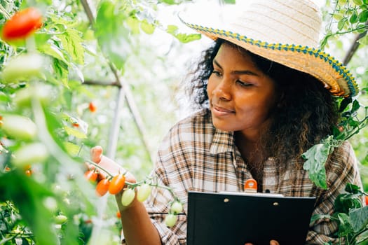 In a greenhouse a millennial agronomist adeptly juggles roles as a quality inspector and farmer examining cherry tomatoes documenting on a clipboard. Portrait of dedication to exceptional produce.