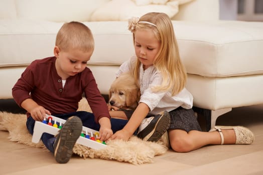 Children, puppy and toy in a home with animal, pet and youth development in a living room. Golden retriever, kids and fun with dog together by a couch in a house with bonding and sibling on the floor.