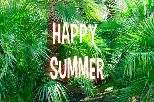 Happy Summer stand out in bold white letters amidst the verdant foliage, inviting warmth and seasonal excitement.