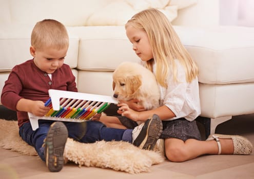 Children, puppy and kid toy in a home with animal, pet and youth development in a living room. Golden retriever, abacus and fun with dog together by couch in a house with bonding and sibling on floor.