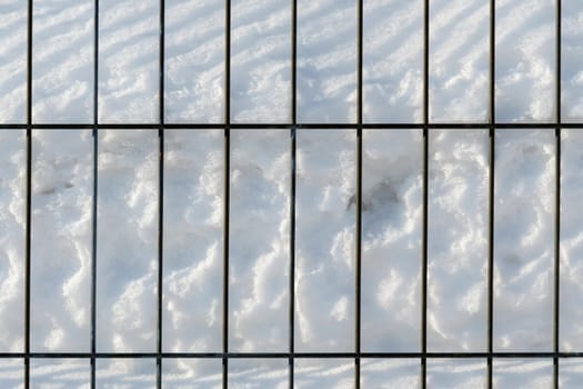 Fence, its feathers fluffed up against the cold, while white flakes gently fall around it.