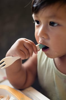 Little boy holds a fork in his mouth.