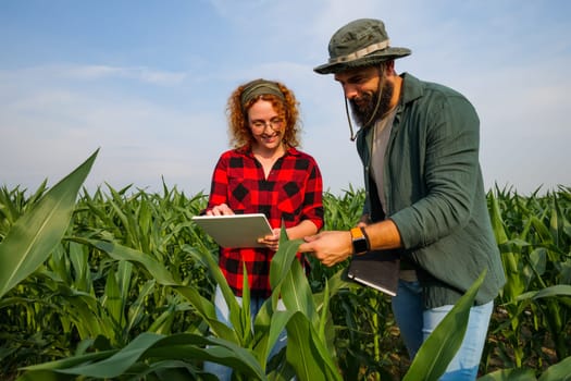 Portrait of farmers who are cultivating corn. They are examining progress of the plants. Agricultural occupation.