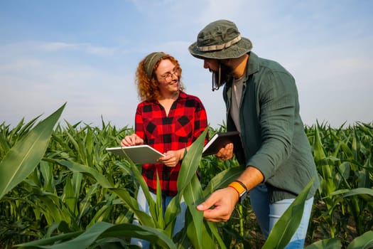 Portrait of farmers who are cultivating corn. They are examining progress of the plants. Agricultural occupation.