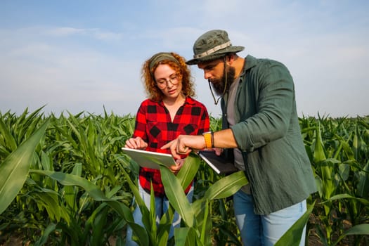 Portrait of farmers who are cultivating corn. They are examining progress of the plants. Agricultural occupation.