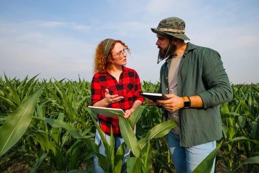 Portrait of farmers who are cultivating corn. They are examining progress of the plants. Agricultural occupation.