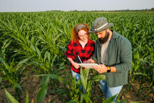 Portrait of farmers who are cultivating corn. They are examining progress of the plants. Agricultural occupation.