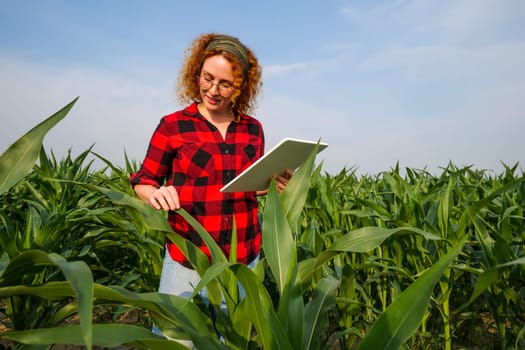 Portrait of female farmer who is cultivating corn. She is examining progress of plants. Agricultural occupation.