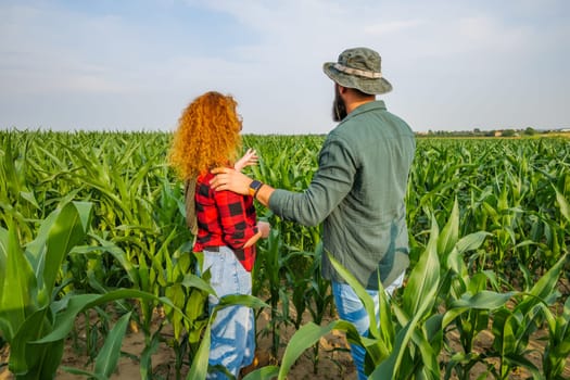 Portrait of farmers who are cultivating corn. They are examining progress of the plants. Agricultural occupation.