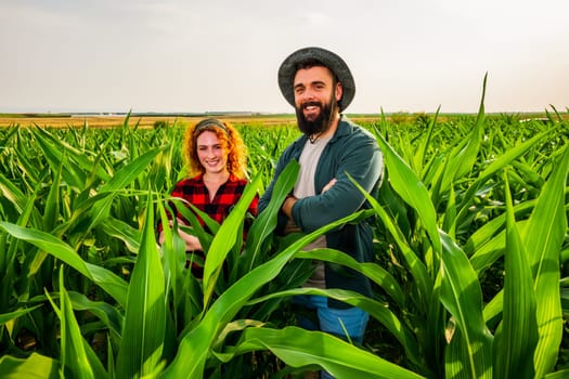 Family agricultural occupation. Man and woman are cultivating corn. They are satisfied with good progress of plants.