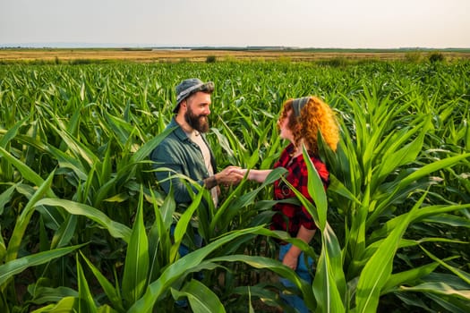 Portrait of farmers who are cultivating corn. Agricultural occupation.