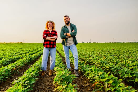 Family agricultural occupation. Man and woman are cultivating soybean. They are satisfied with good progress of plants.