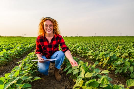 Portrait of female farmer who is cultivating soybean. She is examining the progress of plants. Agricultural occupation.