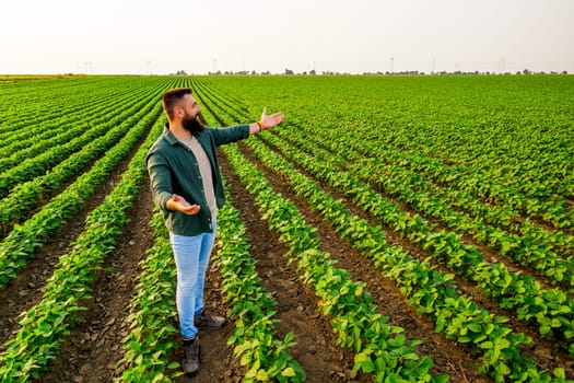 Portrait of farmer who is cultivating soybean. He is satisfied with good progress of plants. Agricultural occupation.