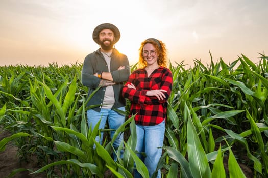 Family agricultural occupation. Man and woman are cultivating corn. They are satisfied with good progress of plants.