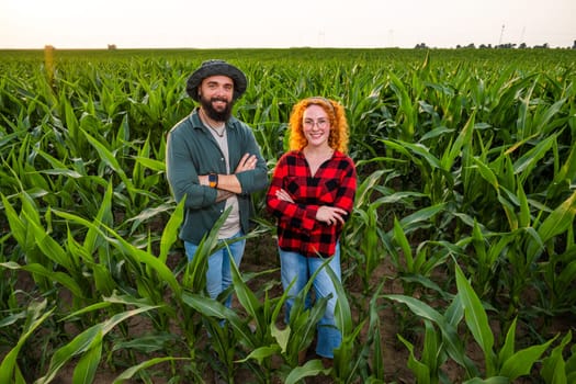 Family agricultural occupation. Man and woman are cultivating corn. They are satisfied with good progress of plants.