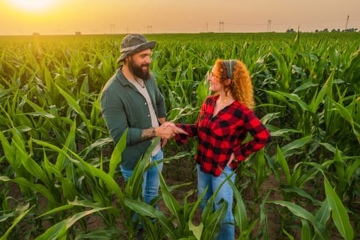 Family agricultural occupation. Man and woman are cultivating corn. They are satisfied with good progress of plants.