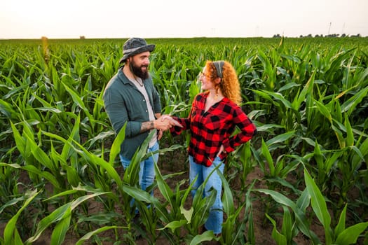 Family agricultural occupation. Man and woman are cultivating corn. They are satisfied with good progress of plants.