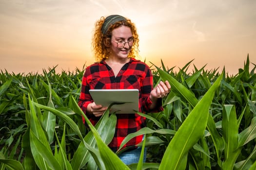 Portrait of female farmer who is cultivating corn. She is satisfied with good progress of plants. Agricultural occupation.