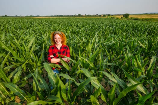 Portrait of cheerful female farmer who is cultivating corn. Agricultural occupation.