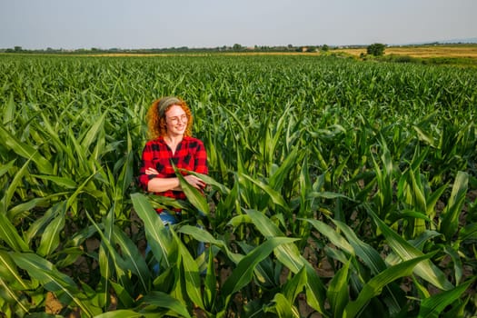 Portrait of cheerful female farmer who is cultivating corn. Agricultural occupation.