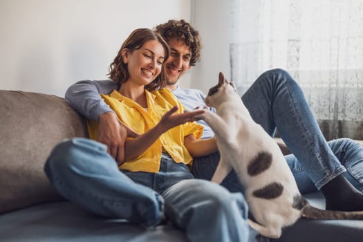 Portrait of young happy couple and their cat at home.