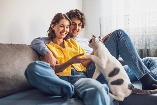 Portrait of young happy couple and their cat at home.