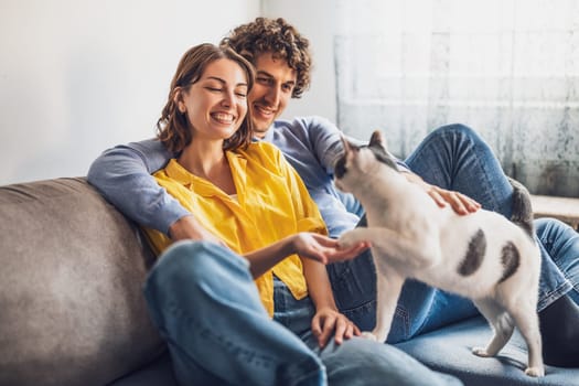 Portrait of young happy couple and their cat at home.